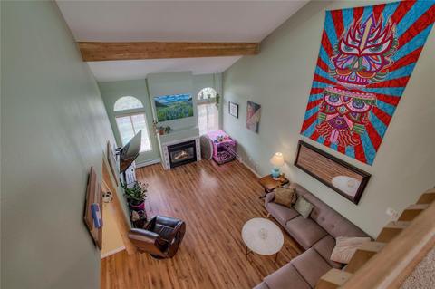 321 N Chipmunk Cir, Silverthorne, CO 80498 photo 5