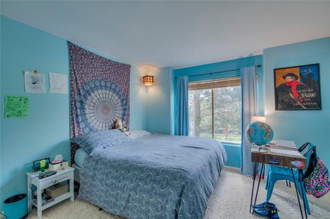 321 N Chipmunk Cir, Silverthorne, CO 80498 photo 11