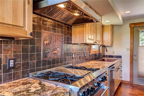 161 Riley Rd, Silverthorne, CO 80498 photo 22