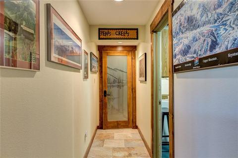 161 Riley Rd, Silverthorne, CO 80498 photo 35