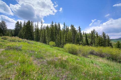 968 Bald Eagle Rd, Silverthorne, CO 80498 photo 27
