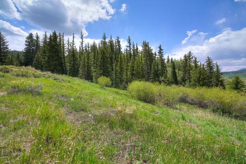 968 Bald Eagle Rd, Silverthorne, CO 80498 photo 26