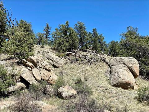 4588 Remington Rd, Como, CO 80432 photo 1