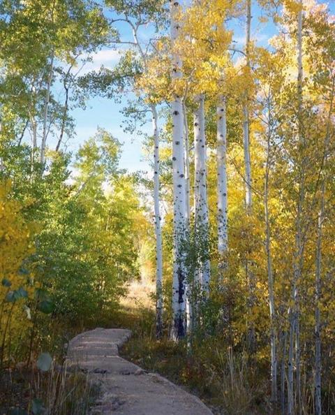 472 Ryan Gulch Rd, Silverthorne, CO 80498 photo 32