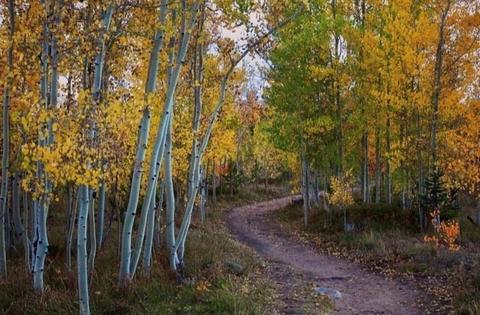 472 Ryan Gulch Rd, Silverthorne, CO 80498 photo 30