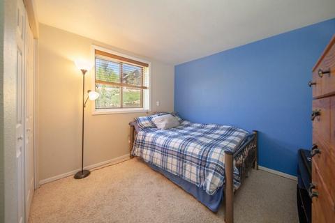 472 Ryan Gulch Rd, Silverthorne, CO 80498 photo 22