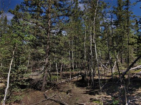 920 Haida Rd, Como, CO 80432 photo 4