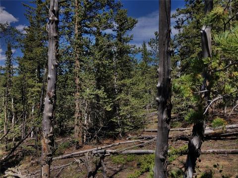 920 Haida Rd, Como, CO 80432 photo 6