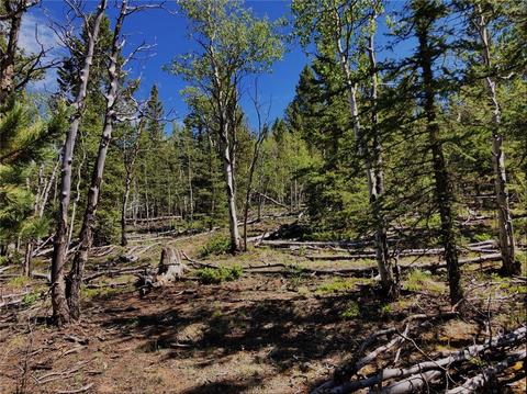 920 Haida Rd, Como, CO 80432 photo 5