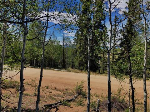 920 Haida Rd, Como, CO 80432 photo 3