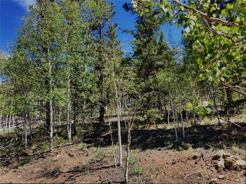 920 Haida Rd, Como, CO 80432 photo 1