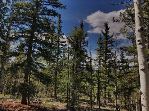 920 Haida Rd, Como, CO 80432 photo 7