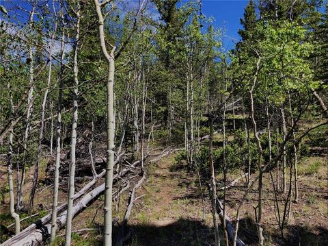 920 Haida Rd, Como, CO 80432 photo 2
