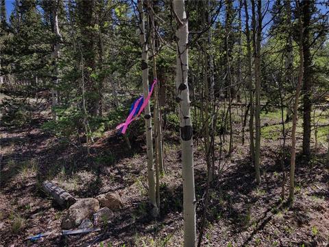 920 Haida Rd, Como, CO 80432 photo 9