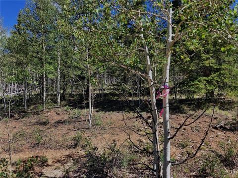 920 Haida Rd, Como, CO 80432 photo 8