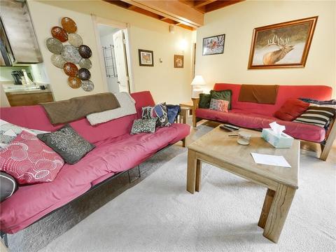 8100 Ryan Gulch Rd #E206, Silverthorne, CO 80498 photo 4