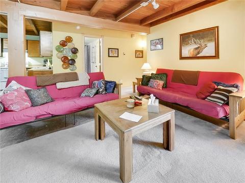 8100 Ryan Gulch Rd #E206, Silverthorne, CO 80498 photo 2
