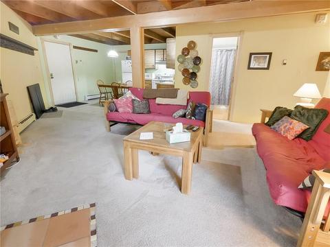 8100 Ryan Gulch Rd #E206, Silverthorne, CO 80498 photo 23