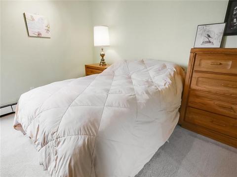 8100 Ryan Gulch Rd #E206, Silverthorne, CO 80498 photo 14