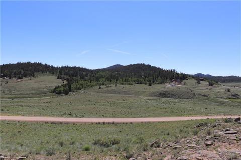 1766 Arrowhead Dr, Como, CO 80432 photo 4