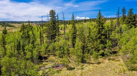 501 Gitche Goone Ln, Como, CO 80432 photo 10
