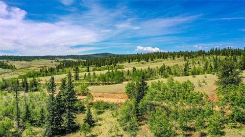 501 Gitche Goone Ln, Como, CO 80432 photo 7