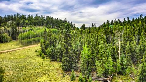 236 Wyandot Way, Como, CO 80432 photo 11