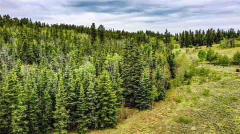 236 Wyandot Way, Como, CO 80432 photo 13