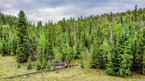 236 Wyandot Way, Como, CO 80432 photo 9