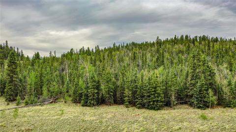 236 Wyandot Way, Como, CO 80432 photo 3