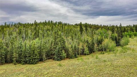 236 Wyandot Way, Como, CO 80432 photo 2