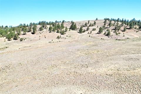 701 Eufaula Trl, Hartsel, CO 80449 photo 20