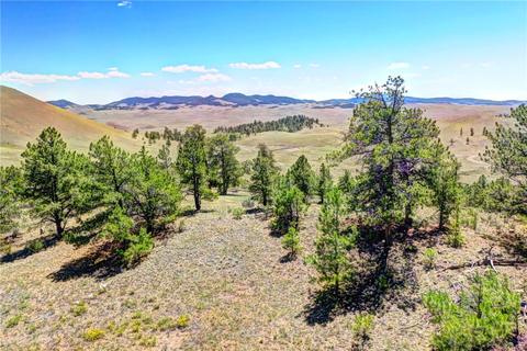 701 Eufaula Trl, Hartsel, CO 80449 photo 3