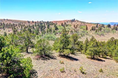 701 Eufaula Trl, Hartsel, CO 80449 photo 4