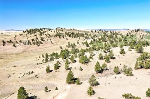 701 Eufaula Trl, Hartsel, CO 80449 photo 18