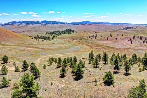 701 Eufaula Trl, Hartsel, CO 80449 photo 8
