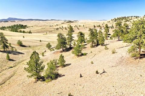 701 Eufaula Trl, Hartsel, CO 80449 photo 19