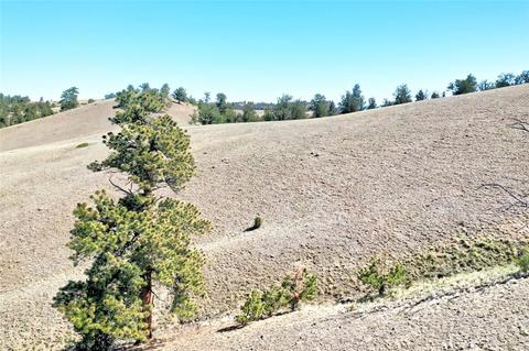 701 Eufaula Trl, Hartsel, CO 80449 photo 22
