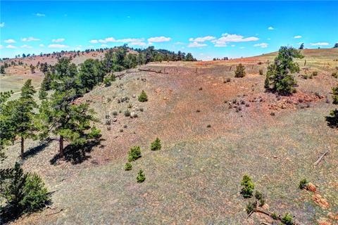 701 Eufaula Trl, Hartsel, CO 80449 photo 5