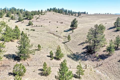 701 Eufaula Trl, Hartsel, CO 80449 photo 24