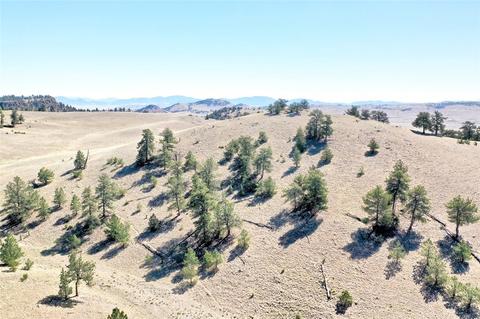 701 Eufaula Trl, Hartsel, CO 80449 photo 23