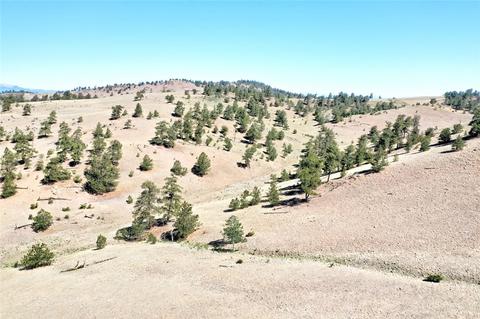 701 Eufaula Trl, Hartsel, CO 80449 photo 29