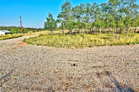 1361 Wampum Ln, Como, CO 80432 photo 10