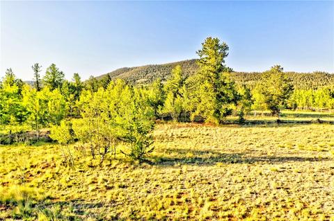 1361 Wampum Ln, Como, CO 80432 photo 6