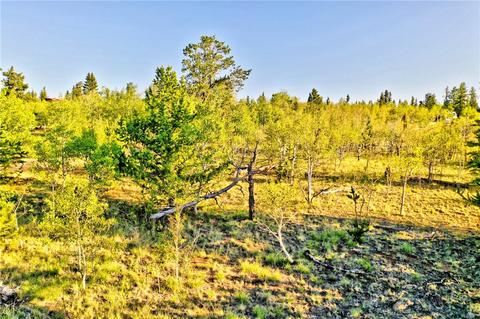 1361 Wampum Ln, Como, CO 80432 photo 2