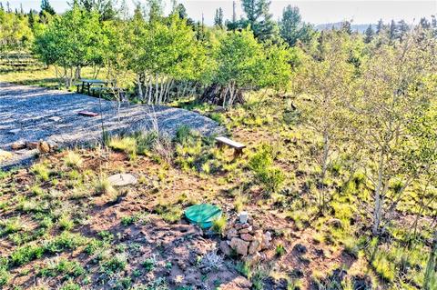 1361 Wampum Ln, Como, CO 80432 photo 3