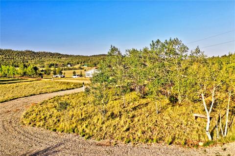 1361 Wampum Ln, Como, CO 80432 photo 14