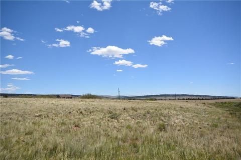 253 Silverheels Rd, Fairplay, CO 80440 photo 11