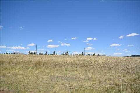 253 Silverheels Rd, Fairplay, CO 80440 photo 5