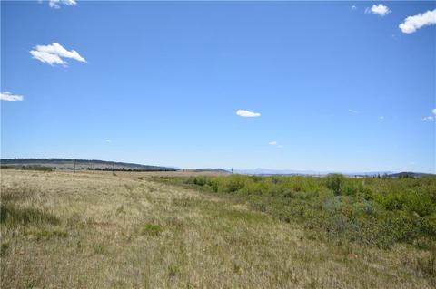 253 Silverheels Rd, Fairplay, CO 80440 photo 13